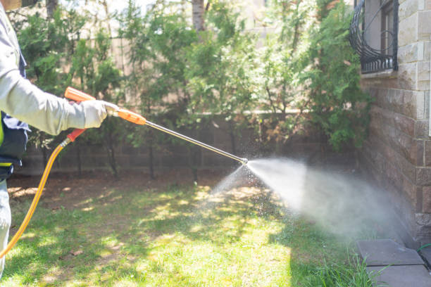Bird Control in Lebanon, TN