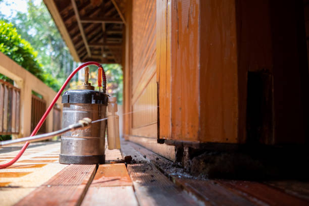 Best Pest Removal Services  in Lebanon, TN