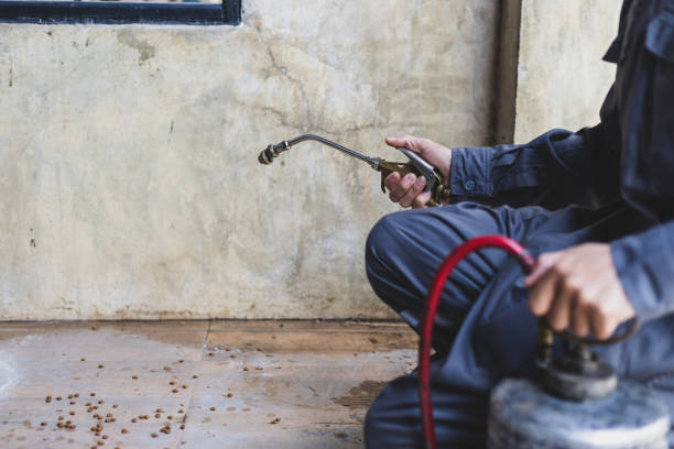 Best Termite Control Services  in Lebanon, TN