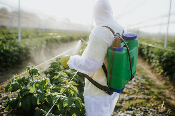 Best Pest Control for Businesses  in Lebanon, TN